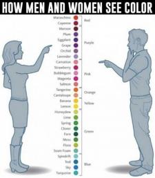 How men and women see different color