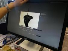 Colour calibration on the monitor